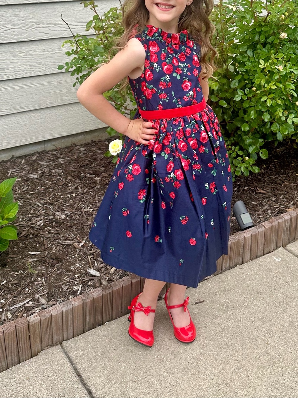 Janie & Jack Girls Navy Floral Party Dress with Red flower Accents
